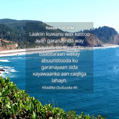 Picture 04 - Yuudas 1:10 SOM - Laakiin kuwanu wax kastoo ayan garanaynba way - Bible Verse Picture