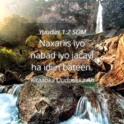 Picture 04 - Yuudas 1:2 SOM - Naxariis iyo nabad iyo jacayl ha idiin - Bible Verse Picture