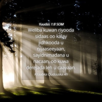 Picture 04 - Yuudas 1:8 SOM - Weliba kuwan riyooda sidaas oo kalay jidhkooda u - Bible Verse Picture