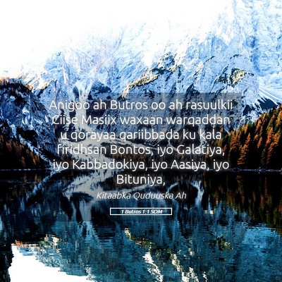 Picture 05 - 1 Butros 1:1 SOM - Anigoo ah Butros oo ah rasuulkii Ciise Masiix - Bible Verse Picture