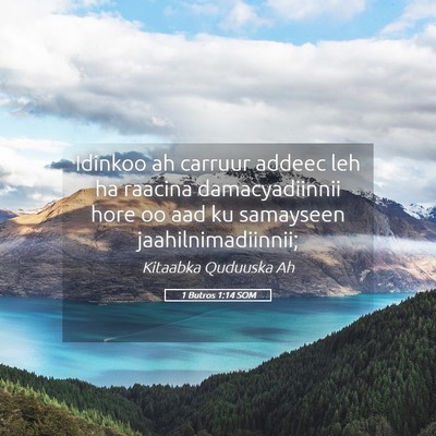 Picture 05 - 1 Butros 1:14 SOM - Idinkoo ah carruur addeec leh ha raacina - Bible Verse Picture