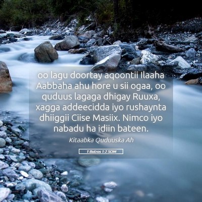 Picture 05 - 1 Butros 1:2 SOM - oo lagu doortay aqoontii Ilaaha Aabbaha ahu hore - Bible Verse Picture