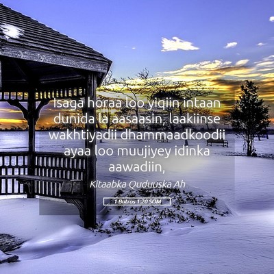 Picture 05 - 1 Butros 1:20 SOM - Isaga horaa loo yiqiin intaan dunida la aasaasin, - Bible Verse Picture