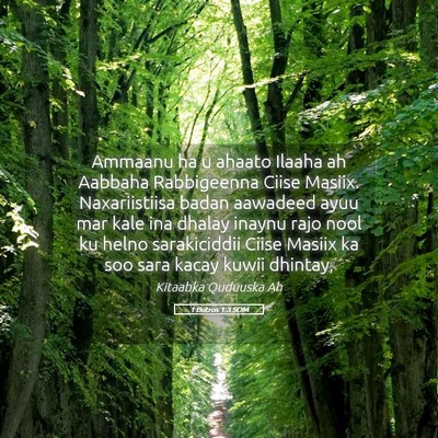 Picture 05 - 1 Butros 1:3 SOM - Ammaanu ha u ahaato Ilaaha ah Aabbaha Rabbigeenna - Bible Verse Picture