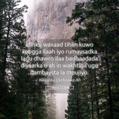 Picture 05 - 1 Butros 1:5 SOM - Idinku waxaad tihiin kuwo xoogga Ilaah iyo - Bible Verse Picture