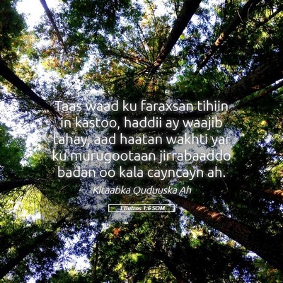 Picture 05 - 1 Butros 1:6 SOM - Taas waad ku faraxsan tihiin in kastoo, haddii ay - Bible Verse Picture