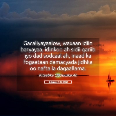 Picture 05 - 1 Butros 2:11 SOM - Gacaliyayaalow, waxaan idiin baryayaa, idinkoo ah - Bible Verse Picture