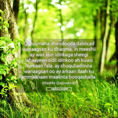 Picture 05 - 1 Butros 2:12 SOM - Quruumaha dhexdooda dabiicad wanaagsan ku dhaqma, - Bible Verse Picture