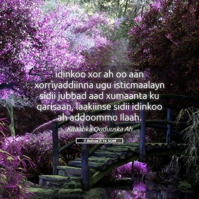 Picture 05 - 1 Butros 2:16 SOM - idinkoo xor ah oo aan xorriyaddiinna ugu - Bible Verse Picture