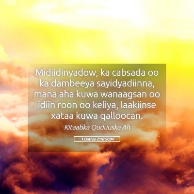 Picture 05 - 1 Butros 2:18 SOM - Midiidinyadow, ka cabsada oo ka dambeeya - Bible Verse Picture