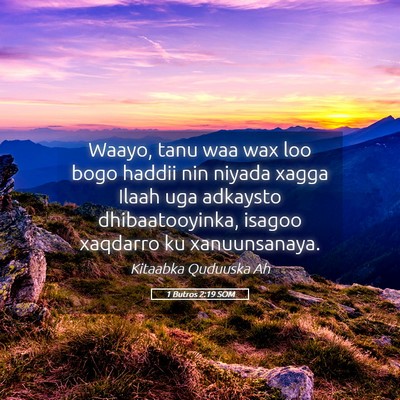 Picture 05 - 1 Butros 2:19 SOM - Waayo, tanu waa wax loo bogo haddii nin niyada - Bible Verse Picture