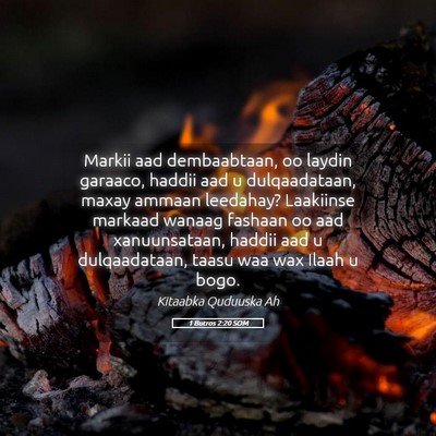 Picture 05 - 1 Butros 2:20 SOM - Markii aad dembaabtaan, oo laydin garaaco, haddii - Bible Verse Picture