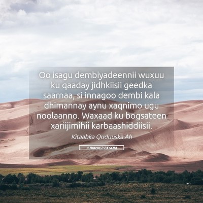 Picture 05 - 1 Butros 2:24 SOM - Oo isagu dembiyadeennii wuxuu ku qaaday - Bible Verse Picture