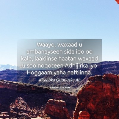 Picture 05 - 1 Butros 2:25 SOM - Waayo, waxaad u ambanayseen sida ido oo kale, - Bible Verse Picture