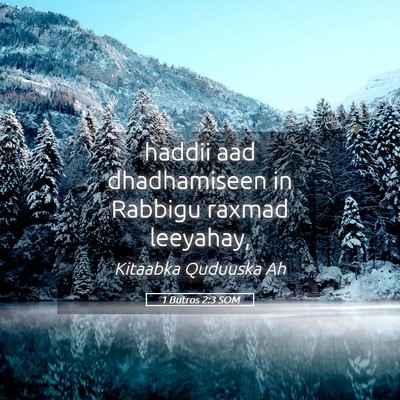 Picture 05 - 1 Butros 2:3 SOM - haddii aad dhadhamiseen in Rabbigu raxmad - Bible Verse Picture