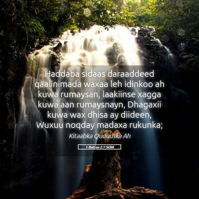 Picture 05 - 1 Butros 2:7 SOM - Haddaba sidaas daraaddeed qaalinimada waxaa leh - Bible Verse Picture