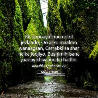 Picture 05 - 1 Butros 3:10 SOM - Kii doonaya inuu nolol jeclaado, Oo arko maalmo - Bible Verse Picture