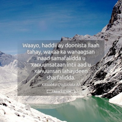 Picture 05 - 1 Butros 3:17 SOM - Waayo, haddii ay doonista Ilaah tahay, waxaa ka - Bible Verse Picture
