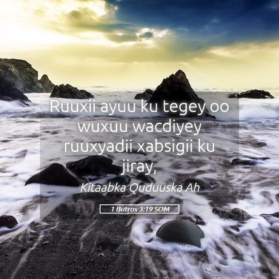 Picture 05 - 1 Butros 3:19 SOM - Ruuxii ayuu ku tegey oo wuxuu wacdiyey ruuxyadii - Bible Verse Picture