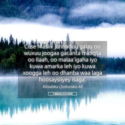 Picture 05 - 1 Butros 3:22 SOM - Ciise Masiix jannaduu galay oo wuxuu joogaa - Bible Verse Picture
