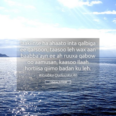 Picture 05 - 1 Butros 3:4 SOM - laakiinse ha ahaato inta qalbiga ee qarsoon, - Bible Verse Picture
