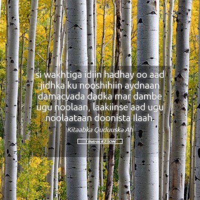 Picture 05 - 1 Butros 4:2 SOM - si wakhtiga idiin hadhay oo aad jidhka ku - Bible Verse Picture