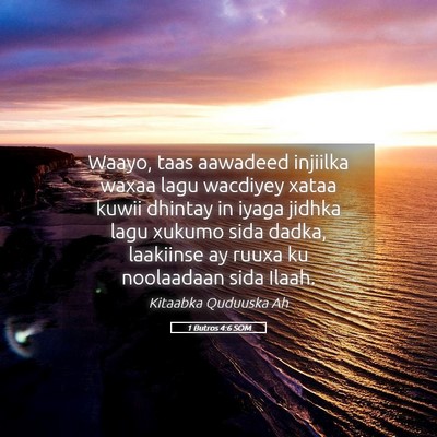 Picture 05 - 1 Butros 4:6 SOM - Waayo, taas aawadeed injiilka waxaa lagu wacdiyey - Bible Verse Picture