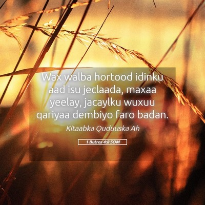 Picture 05 - 1 Butros 4:8 SOM - Wax walba hortood idinku aad isu jeclaada, maxaa - Bible Verse Picture