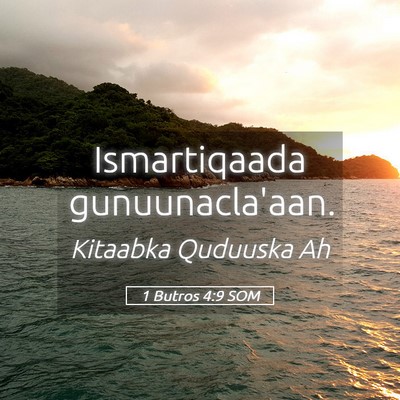 Picture 05 - 1 Butros 4:9 SOM - Ismartiqaada - Bible Verse Picture