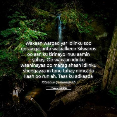 Picture 05 - 1 Butros 5:12 SOM - Waxaan warqad yar idiinku soo qoray gacanta - Bible Verse Picture