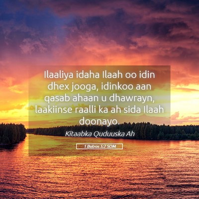 Picture 05 - 1 Butros 5:2 SOM - Ilaaliya idaha Ilaah oo idin dhex jooga, idinkoo - Bible Verse Picture