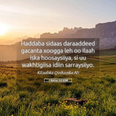 Picture 05 - 1 Butros 5:6 SOM - Haddaba sidaas daraaddeed gacanta xoogga leh oo - Bible Verse Picture