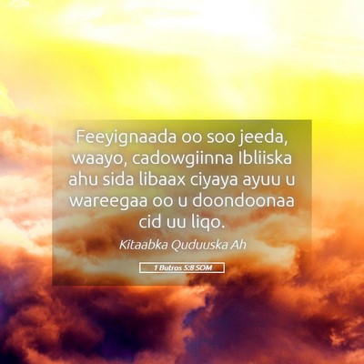 Picture 05 - 1 Butros 5:8 SOM - Feeyignaada oo soo jeeda, waayo, cadowgiinna - Bible Verse Picture