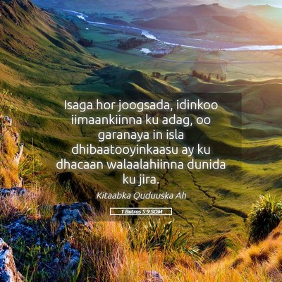 Picture 05 - 1 Butros 5:9 SOM - Isaga hor joogsada, idinkoo iimaankiinna ku adag, - Bible Verse Picture