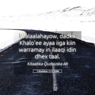 Picture 05 - 1 Korintos 1:11 SOM - Walaalahayow, dadkii Khalo'ee ayaa iiga kiin - Bible Verse Picture