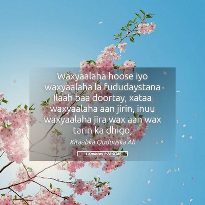 Picture 05 - 1 Korintos 1:28 SOM - Waxyaalaha hoose iyo waxyaalaha la fududaystana - Bible Verse Picture
