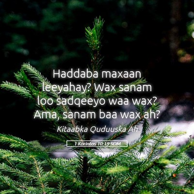 Picture 05 - 1 Korintos 10:19 SOM - Haddaba maxaan leeyahay? Wax sanam loo sadqeeyo - Bible Verse Picture