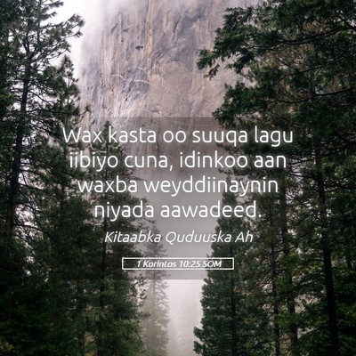 Picture 05 - 1 Korintos 10:25 SOM - Wax kasta oo suuqa lagu iibiyo cuna, idinkoo aan - Bible Verse Picture