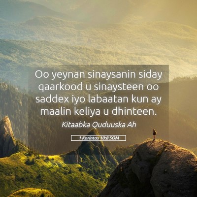Picture 05 - 1 Korintos 10:8 SOM - Oo yeynan sinaysanin siday qaarkood u sinaysteen - Bible Verse Picture