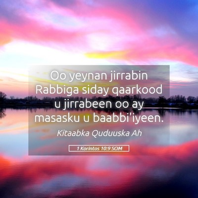 Picture 05 - 1 Korintos 10:9 SOM - Oo yeynan jirrabin Rabbiga siday qaarkood u - Bible Verse Picture