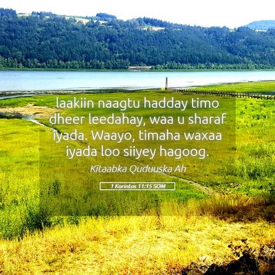 Picture 05 - 1 Korintos 11:15 SOM - laakiin naagtu hadday timo dheer leedahay, waa u - Bible Verse Picture