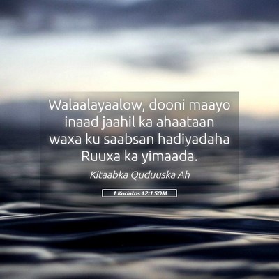 Picture 05 - 1 Korintos 12:1 SOM - Walaalayaalow, dooni maayo inaad jaahil ka - Bible Verse Picture