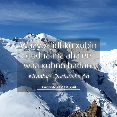 Picture 05 - 1 Korintos 12:14 SOM - Waayo, jidhku xubin qudha ma aha ee waa xubno - Bible Verse Picture