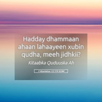 Picture 05 - 1 Korintos 12:19 SOM - Hadday dhammaan ahaan lahaayeen xubin qudha, meeh - Bible Verse Picture