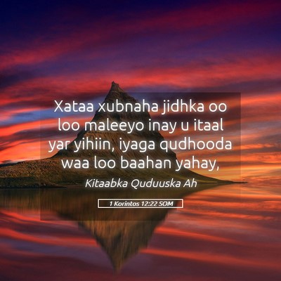 Picture 05 - 1 Korintos 12:22 SOM - Xataa xubnaha jidhka oo loo maleeyo inay u itaal - Bible Verse Picture