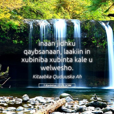 Picture 05 - 1 Korintos 12:25 SOM - inaan jidhku qaybsanaan, laakiin in xubiniba - Bible Verse Picture