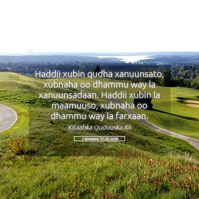 Picture 05 - 1 Korintos 12:26 SOM - Haddii xubin qudha xanuunsato, xubnaha oo dhammu - Bible Verse Picture