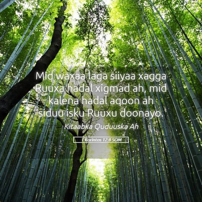 Picture 05 - 1 Korintos 12:8 SOM - Mid waxaa laga siiyaa xagga Ruuxa hadal xigmad - Bible Verse Picture