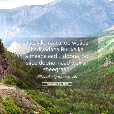 Picture 05 - 1 Korintos 14:1 SOM - Jacaylka raaca, oo weliba hadiyadaha Ruuxa ka - Bible Verse Picture