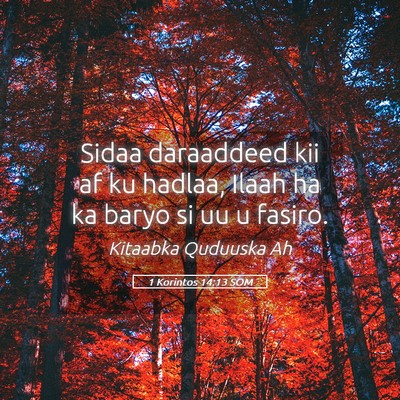 Picture 05 - 1 Korintos 14:13 SOM - Sidaa daraaddeed kii af ku hadlaa, Ilaah ha ka - Bible Verse Picture